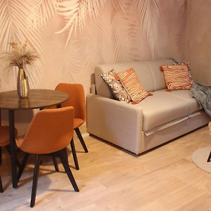 Charmant T1 Hypercentre Nantes