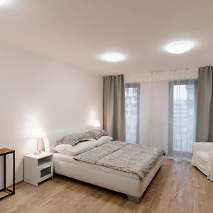Studio Lit King-Size