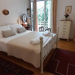 Apartment With A Green Balcony In Athens
