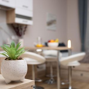 Appartement de Luxe