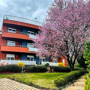 Rosehill Garden Family Villa With A Great Budapest View
