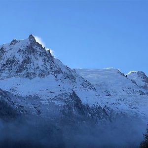 Les Alpins - Centre De Chamonix - Renove Avec Jardin Et Vue Imprenable Sur Le Montblanc
