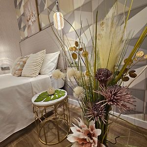 Appartement Studio