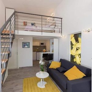 Pomet Superior Studio