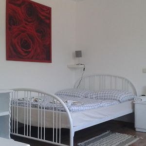 Studio Lit Queen-Size