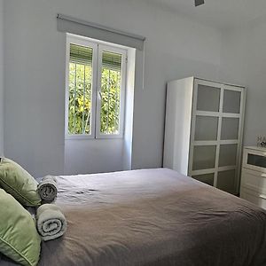 Malaga Home