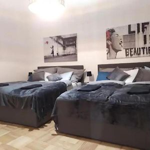 Designer Apartment, 5 Min To City Center