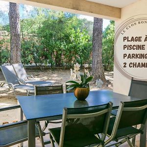 Ombre Des Pins A Saint Tropez XIX