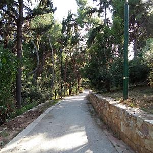 Private Bedrooms In Shared Apartment 135 Sm Athens Center