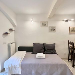 Adg Apartment 33