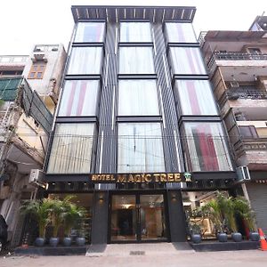 Hotel The Magic Tree - Paharganj New Delhi