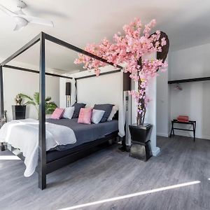 Villa Carbo Chambre D'Hotes Mourillon, 4 Belles Chambres, Piscine
