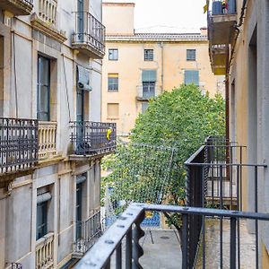 Apt 8 Geranio