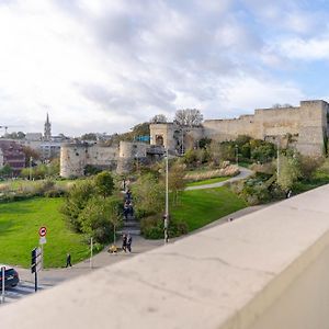 Superbe appart chic, hyper centre, vue château, Parking inclus