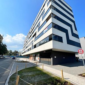 Luxury Pearl With Parking Place In Holesovice