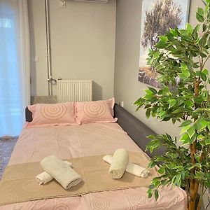 Olive Tree Deluxe Apt 70M From Athens Metro