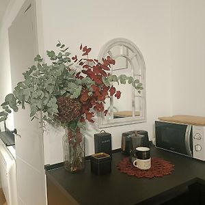 Loft Urban Fk