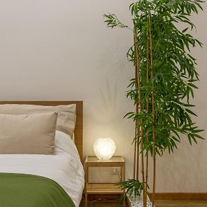 Maison 1 Chambre