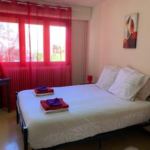 Suite Familiale Lit King-Size