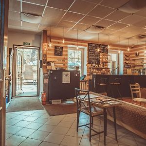 Downtown Forest Hostel & Camping