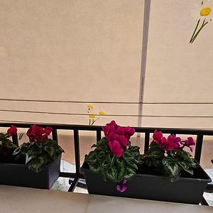 City Center Apartment