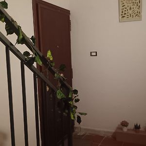Casa Selinunte