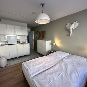 Studio Lit Queen-Size