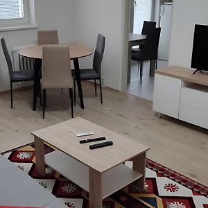 Big And Sunny Apartment With Great Acces To Center