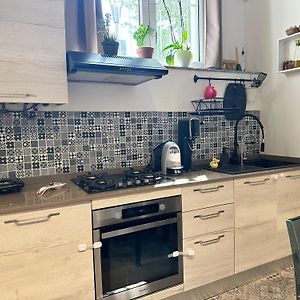 Loft Moderno Con Terrazzo