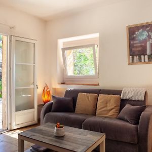 Appartement Supérieur à 1 Chambre à Coucher