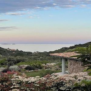 Corsacasa Villa In Palombaggia Sea View