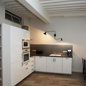 55 M2 Apart With Big Terrace In Annecy Downtown