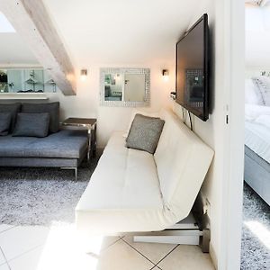 Cannes Roof-Top Apartment