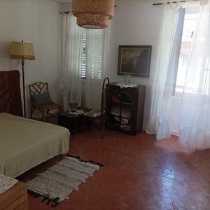 Jolie Chambre Dans Appartement Cosy En Plein Centre
