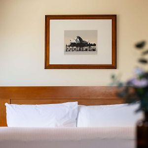 Chambre Exécutive Lit King-Size