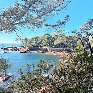 2 Pieces Saint Raphael Renove, Classe 4 Etoiles, 100 M Plages, Piscine, Tennis, Parc, Terrasse, Jardin Privatif