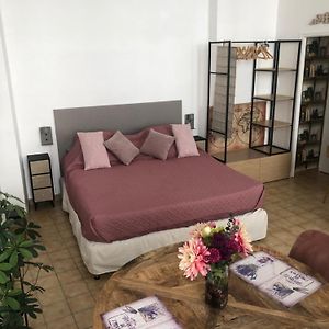 Studio Au Coeur D'Avignon Intra-Muros