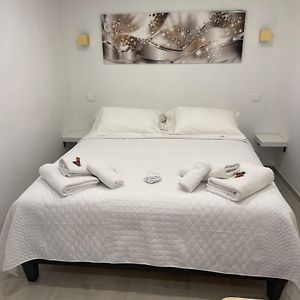 Grand Studio Neuf A 50 M Du Port