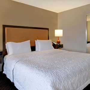 Chambre Accessible aux Personnes à Mobilité Réduite Lit King-Size
