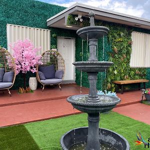 Summer Gardens Wynwood Concept