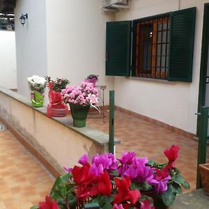 Maison 1 Chambre