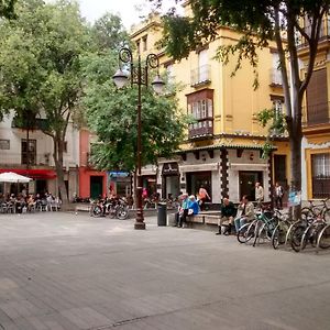 Studio 1Bd 1Bth - Center- Alfalfa