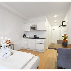 Easy Flat Hyrtlgasse
