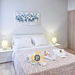 Puccio Home - Central Station