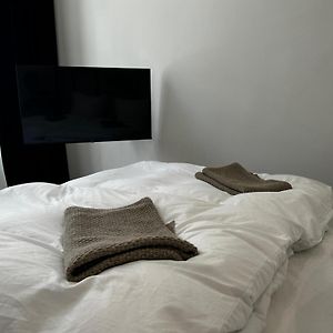 Luxury City Apartment Downtown Vienna