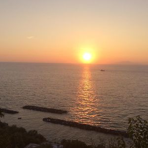 B&B Mary Sant'Elia