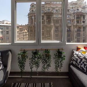 Modern 1Br Apt In The Old Town: The Perfect Choice