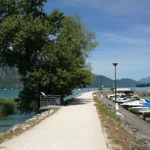 Shayton Natura