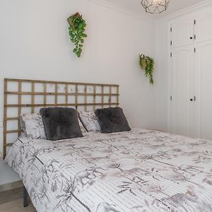 San Marcos Apartment