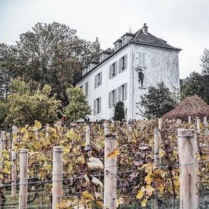 Rare Appartement D'Architecte En Haut De Montmartre